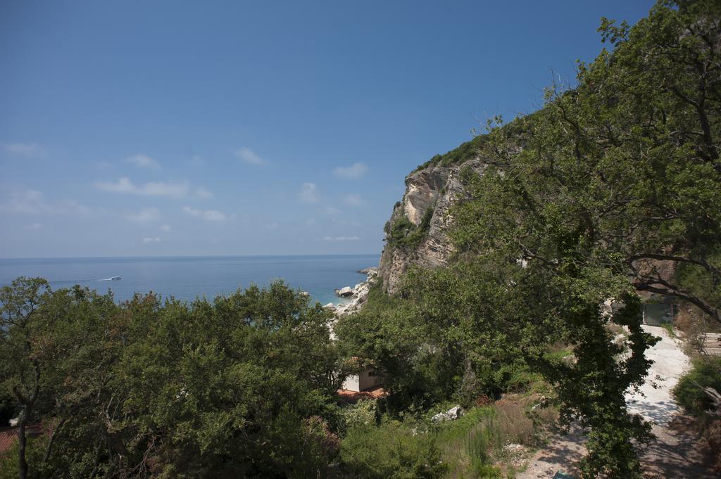 Apartments Villa Simonovic Petrovac Exteriör bild